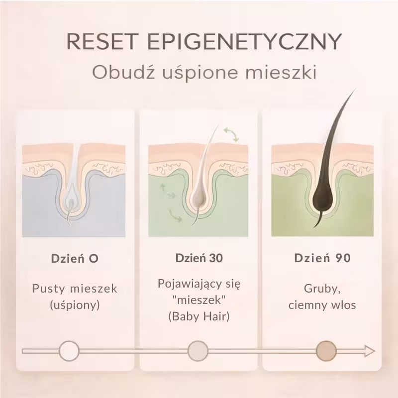 CelluRevital budzi uśpione cebulki włosa